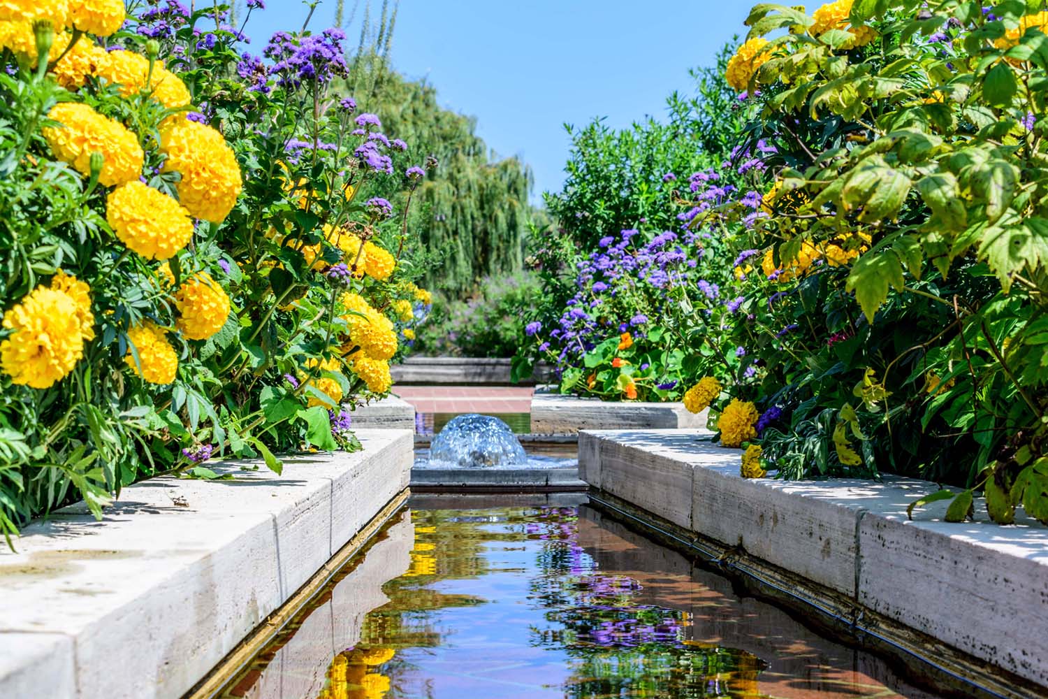 seattle hardscapes fountain with beautiful yellow and purple flowers 2022 11 07 05 22 52 utc stock photo placeholder
