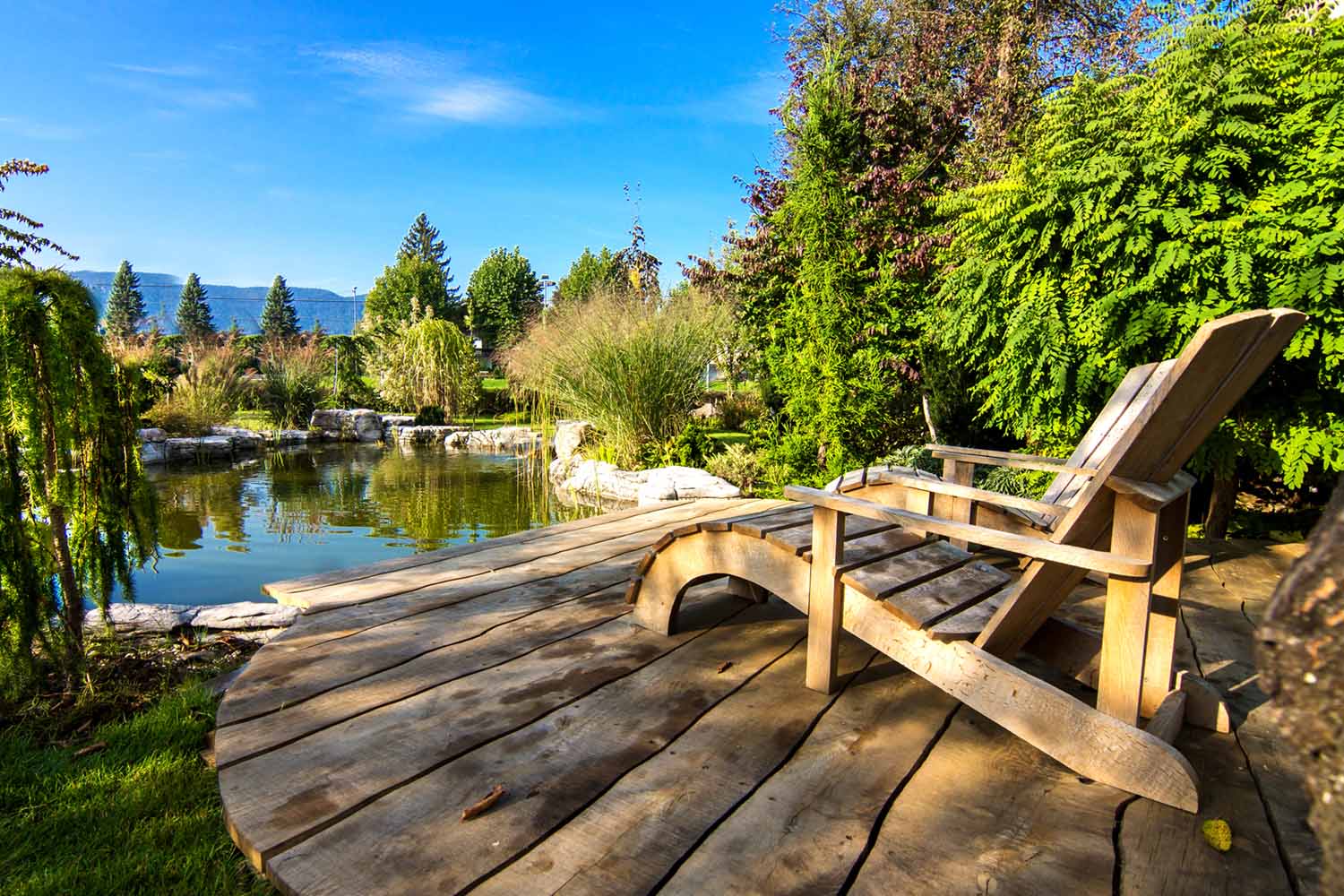 seattle hardscapes pond in a beautiful creative lush green blooming g 2021 08 26 17 06 11 utc stock photo placeholder