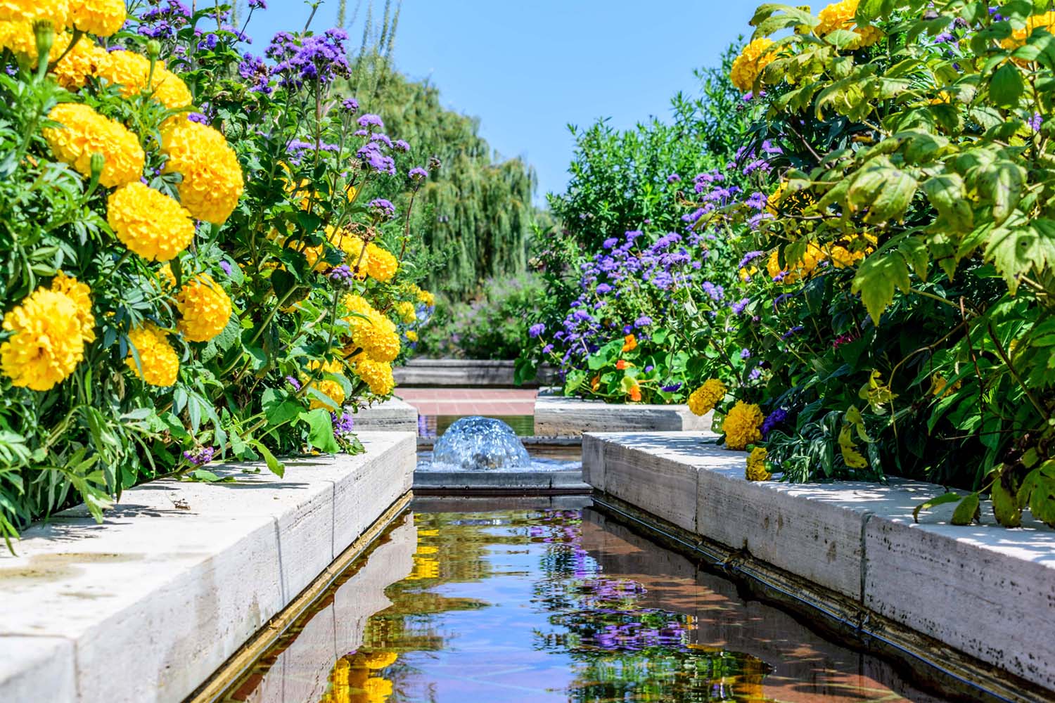 bellevue-home-improvement-landscaping
